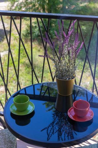 Elegantno uređen enterijer apartmana Ombra na Srebrnom jezeru u Srbiji