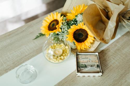 Sunflower Apartment Sombor – udoban apartman sa dvorištem i toplim ambijentom pogodnim za porodični boravak.