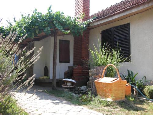 Etno ambijent i dvorište smeštaja Przic House u okolini Negotina blizu pimnica