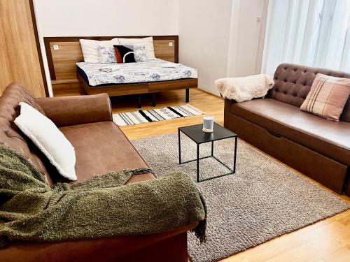 Ground floor apartments u Budimpešti, prizemni apartmani u centru grada.