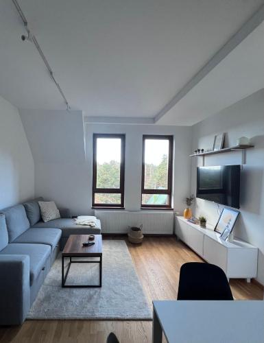 Topla i moderno uređena dnevna soba apartmana ŠumSki na Divčibarama sa pogledom na šumu