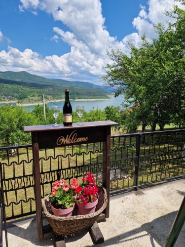 Kuća Mitić Zavojsko jezero View – smeštaj sa panoramskim pogledom na prirodu