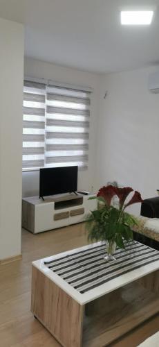 Apartman Mani Višegrad – komforan apartman sa savremenim enterijerom u centru grada